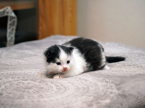 Vasya am 27. Januar 2026